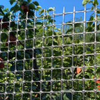 Heavy Duty Plastic Fence Roll 20" x 50' - 0.8x0.8 Inch Chicken Wire Mesh, Reusable Fencing for Garden, Rabbit/Poultry Protection, Balcony & Plant Defense (Black)