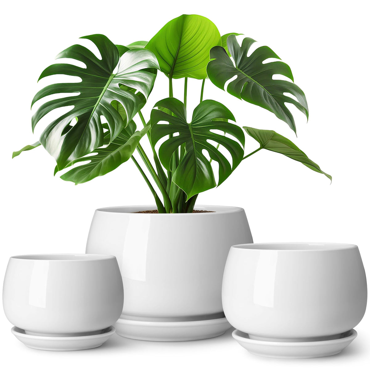 vancasso 3-Pack Ceramic Plant Pots, 3.7/4.8/6.2 Inch Indoor Planters with Saucers & Drainage Hole Planter pots for Indoor Plants and Flower, White