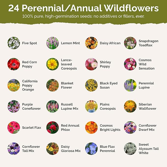 Eden Brothers Kentucky Wildflower Mixed Seeds for Planting, 1 lb, 480,000+ Seeds with Black Eyed Susan, Cosmos | Attracts Pollinators, Plant in Spring or Fall, Zones