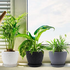 Plant Pots 8.5/7.5/6.5/6 inch, 4 Pack Pot for Indoor Plants, Modern Decorative Plastic Planters with Drainage Holes and Saucers for House Plants Indoor Outdoor Flower Plants