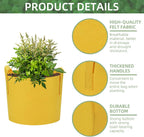 20 Pack 10 Gallon Grow Bags, Colorful Potato Plant Grow Bags with Handles, Nonwoven Fabric Garden Pots for Vegetable Fruit Flowers Herbs Tomato Potato Growing (10 Gal)
