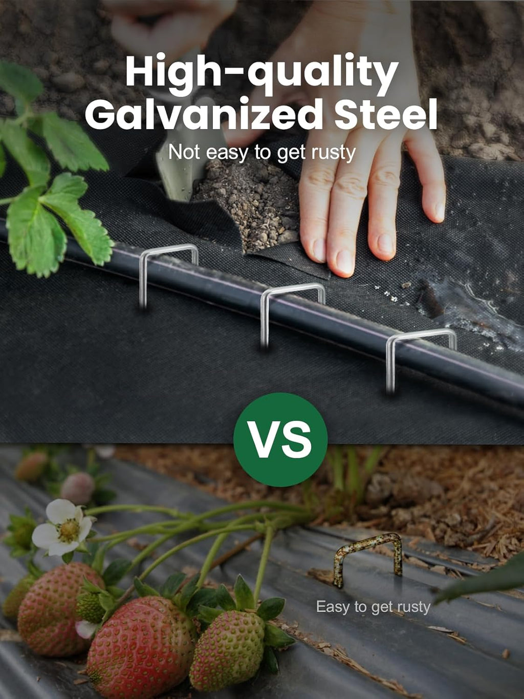GROWNEER Landscape Staples Anti-Rust, 6 inch 500pcs Galvanized Garden Staples, Tent Stakes SOD Pins Yard Stakes for Securing Weed Fabric Barrier, Ground Cover, Artificial Turf, Dog Fence