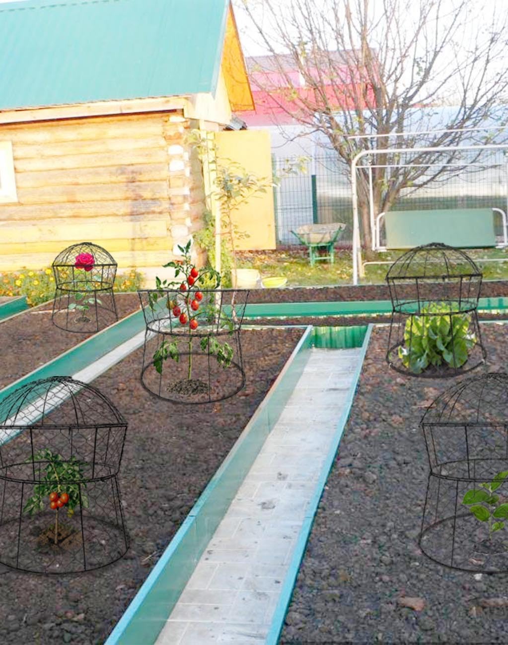Garden Cloches for Plants 2 Pack Metal Plant Protectors from Animals Chicken Wire Cloche Updated Plant Cages for Outdoor Plants Vegetables Seedlings 13" D x 14" H