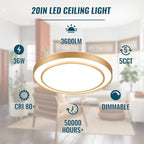 20 inch Flush Mount Ceiling Light Fixture LED 36W, Gold Dimmable Fixture Ceiling Mount Overhead, Modern Close to Ceiling Light 5CCT for Living Room,Kitchen, Bedroom