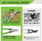 Pro Pruning Shears - Heavy Duty Garden Shears with SK-5 Steel Blades, Ergonomic Non-Slip Handle Tree Branch Cutter & Flower Arranging Tool