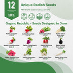 Organo Republic 12 Radish Seeds Variety Pack for Indoor & Outdoors 2400+ Heirloom Non-GMO Radish Garden Seeds: Daikon, Cherry Belle, French, Breakfast, Champion, Purple, Watermelon Radishes Seeds