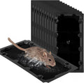 10 Pack Sticky Mouse Trap Rat Traps Indoor, Peanut Taste Pheromone Mouse Traps Indoor for Home