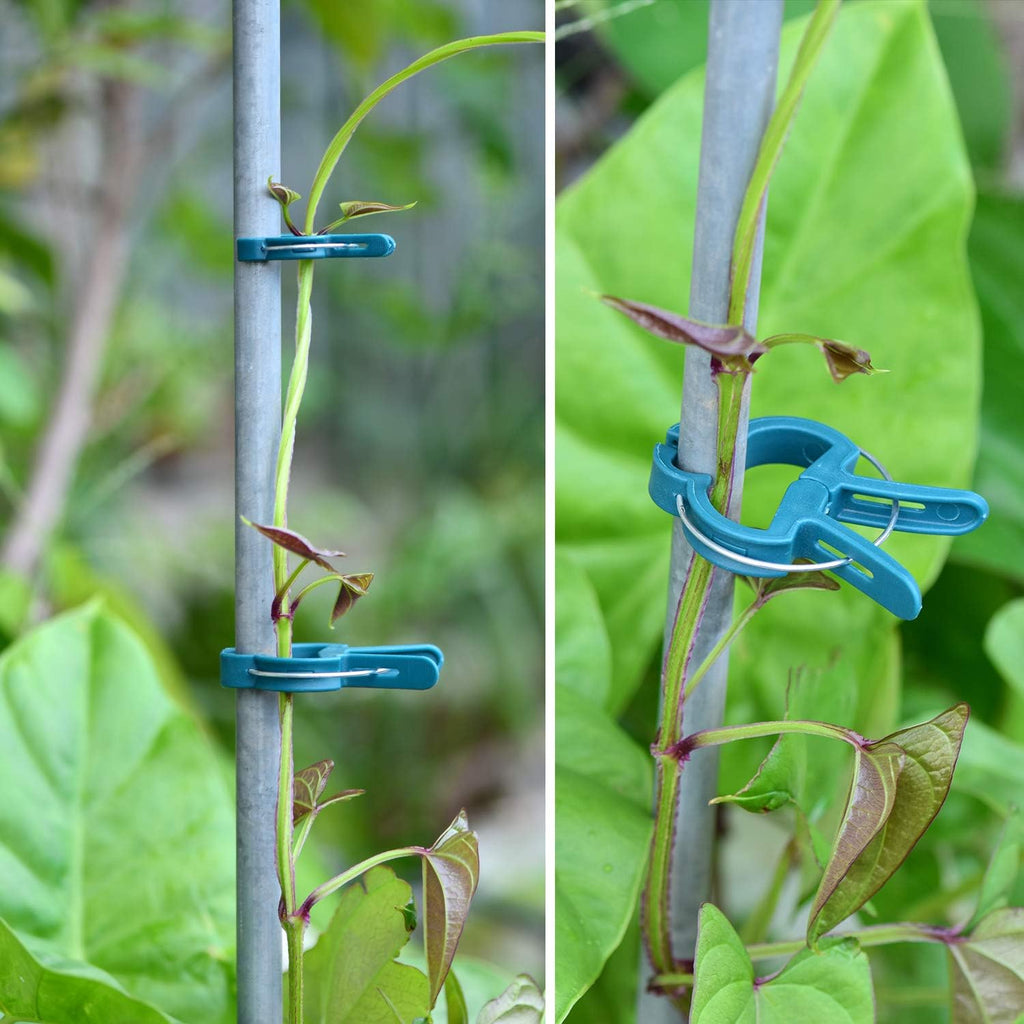 60PCS Plant Clips 2 Sizes Adjusting Reusable Garden Plant Supports Clips for Supporting Stems of Flower Vine Vegetables Tomatoes Climbing