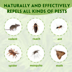 Rodent Repellent with Peppermint Oil – Mouse & Squirrel Deterrent for Car Engines, Garage, Attic – Rat/Mole/Mice Repellent – Indoor Outdoor Use – Alternative to Mouse Trap & Moth Balls.(80 Pack)