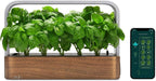EDN SmallGarden with Basil SeedPods, Indoor Grow Smart Garden for iOS Devices - Fresh Home Grown Herbs, Plants and Flowers - Grow up to 10 Different Plants at Once