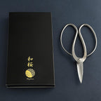 Wazakura Yasugi Stainless Steel Made in Japan Traditional Bonsai Scissors 7 in (180 mm), Pruning Shears for Bonsai Trees, Japanese Gardening Tools