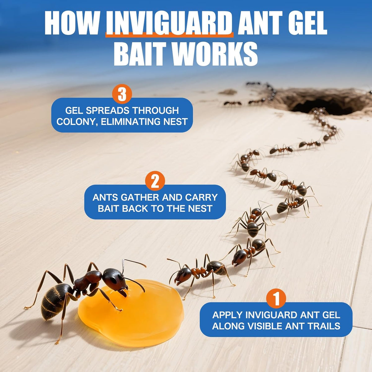 Ant Gel Bait, 3Tubes x 10-Grams, Indoor and Outdoor Use, Killer Gel for Control of Most Major Ant Species, Ready-to-Use Ant Traps for Home & Outdoor