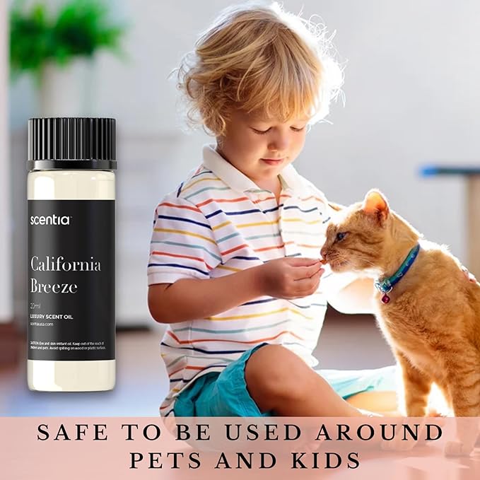Hotel Diffuser Oil Inspired by The Delano Beach Club Hotel Scent - 20 mL 0.67 fl oz - Essential Oil Blend Orange, Green Tea & Jasmine for Aromatherapy Diffusers - California Breeze