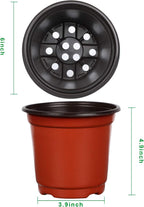Augshy 110 Pcs 6" Plastic Plants Nursery Pot, Seed Starting Pots for Succulent Seedling Cutting Transplanting