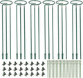 6 Pack (DIY) Plant Support Stakes, Three Sizes (12 or 24 or 36 inch) Plant Support Rings for Outdoor or Indoor, Garden Plant Stakes for Flowers Vegetable Roses Daffodils Tomatoes