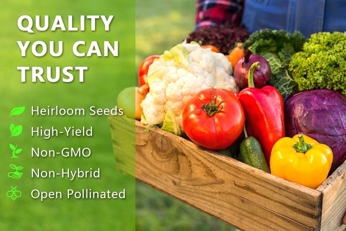 Vegetable Seeds Kit Fruit Seeds for Planting Non-GMO and Heirloom 35 Varieties Seeds for Planting Vegetables 10 Plant Markers