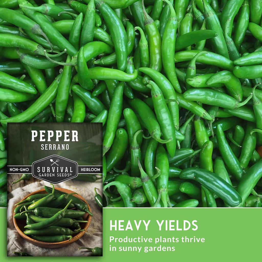 Mexican Serrano Pepper Seeds for Planting | Fresh Hot Chili & Green Hot Pepper Seeds – Heirloom Non-GMO Variety for Sauce, Salsa & Pickling – Survival Garden Seeds (3 Packs)