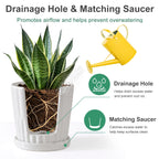 White 6 Inch Flower Pots for Plants,Ceramic Planter with Drainage Holes