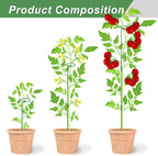 6 Pack (DIY) Plant Support Stakes, Three Sizes (12 or 24 or 36 inch) Plant Support Rings for Outdoor or Indoor, Garden Plant Stakes for Flowers Vegetable Roses Daffodils Tomatoes