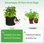 5-Pack 20 Gallon Grow Bags, Large Nonwoven Fabric Pots with Handles for Planting Fruits, Vegetables, Flowers Indoor Outdoor
