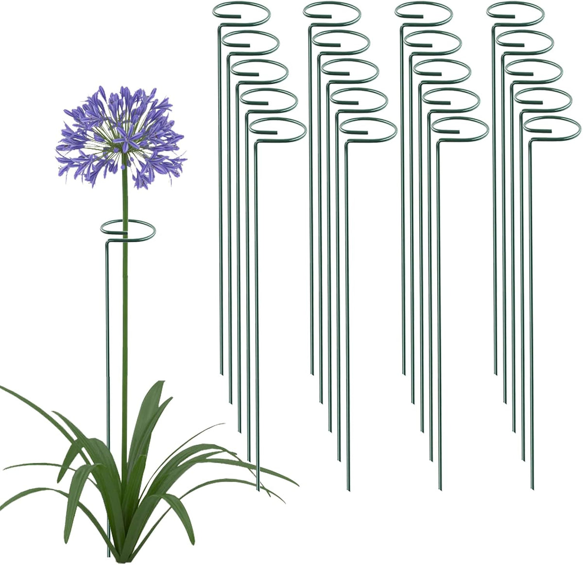 18 Inch 20 Packs Plant Support Stake Garden Single stemmed Plant Support Hoops Plant Prop for Flowers Orchid Tomatoes Peony Lily Rose Gladiolus (18 inch)