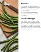 Burpee Kentucky Blue Pole Bean Seeds 8 ounces of seed