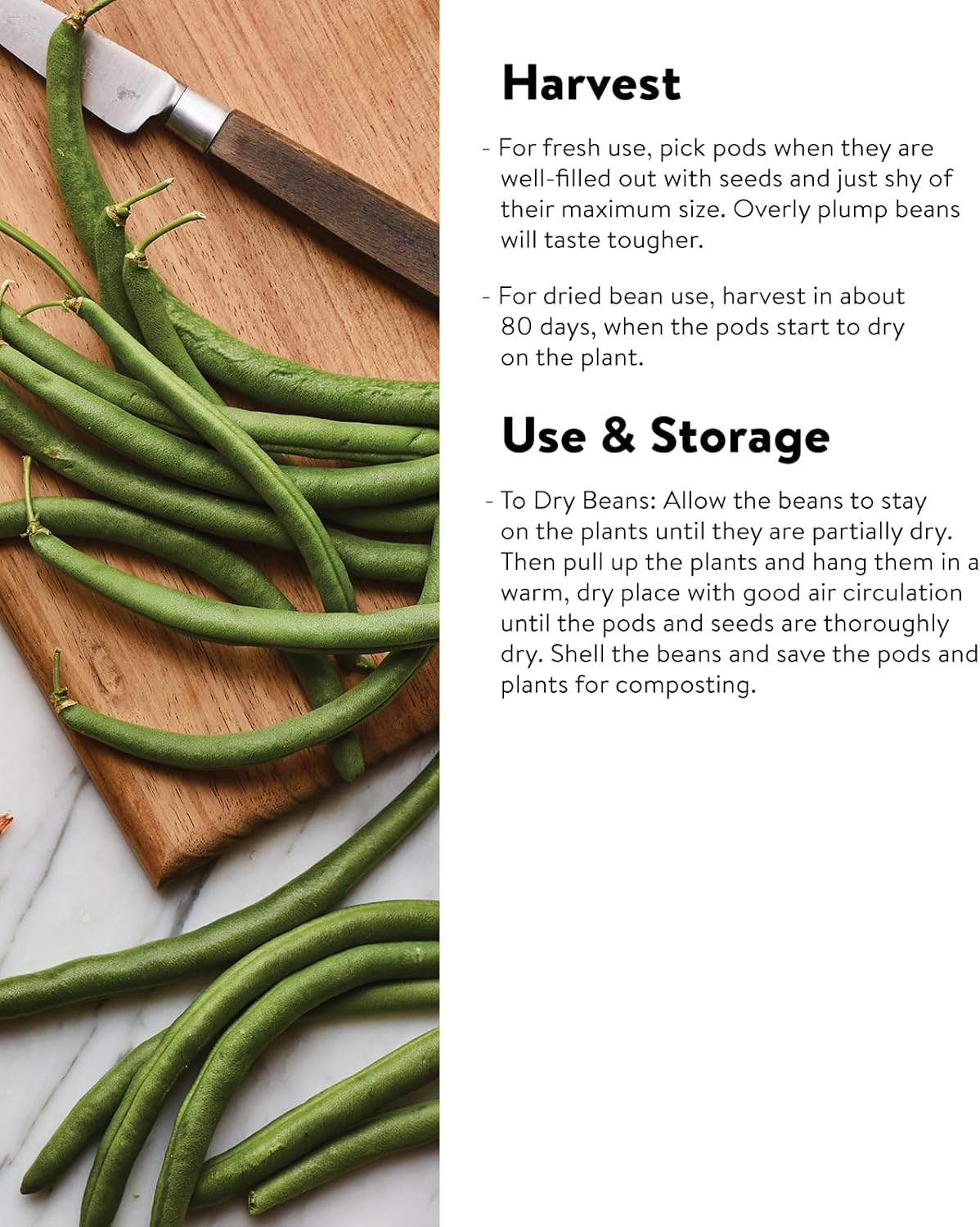 Burpee Yardlong Asparagus Pole Bean Seeds 1 ounces of seed
