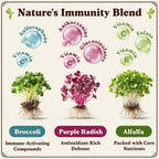 Seedboy Organic Non-GMO Sprouting Seeds, Immune System Booster - USA Grown Microgreens Mix with Broccoli, Purple Radish, Alfalfa - 8 oz Bag Makes 8 Quarts / 24 Servings (Immune System Booster Blend)