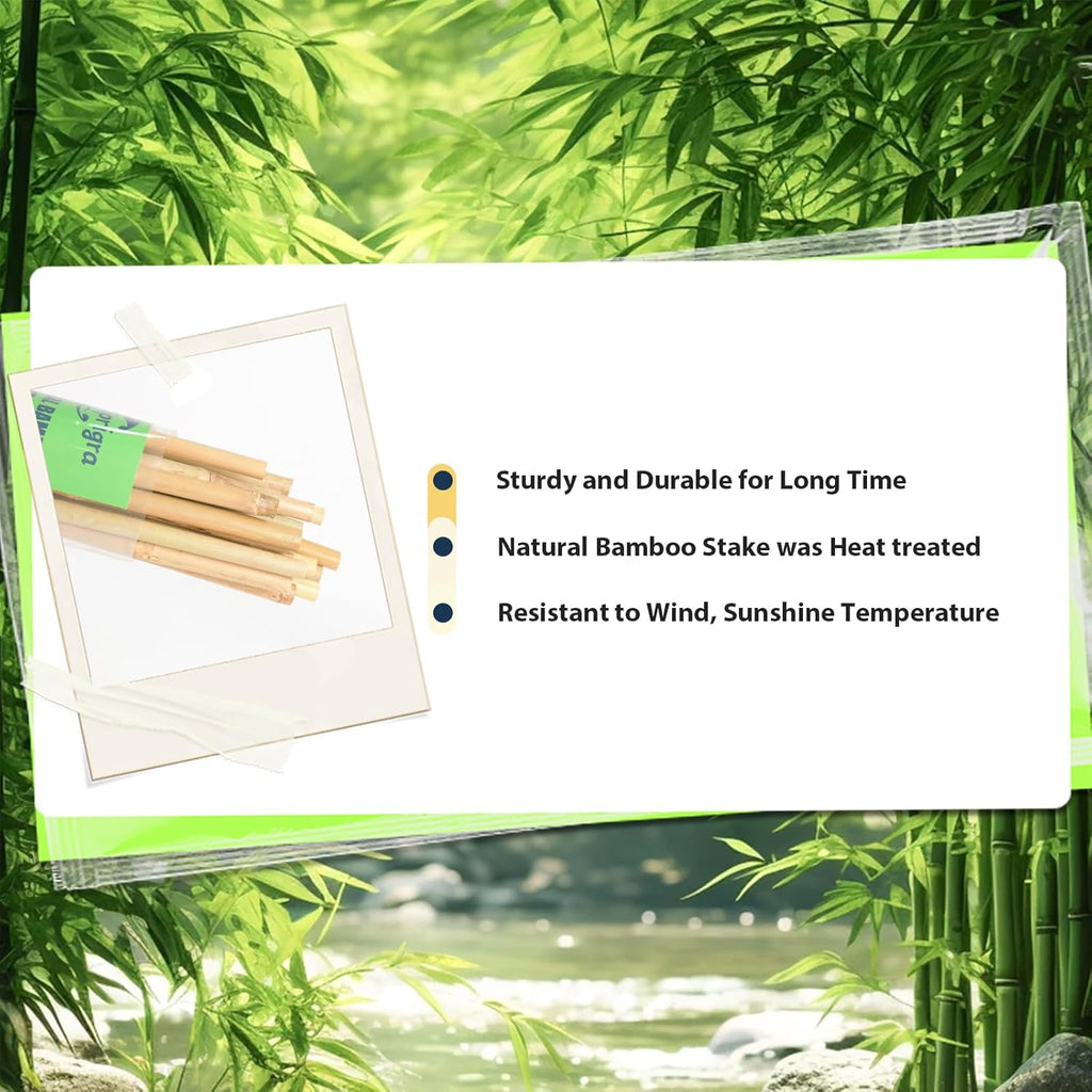 20pcs Bamboo Stakes 6 Feet, 6FT Garden Stakes Multi-Purpose, 5/8" Dia Plant Stakes for Tomatoes, Beans, Cucumbers, Peppers, Potted Trees, Maintain The Plant Posture, Strengthen and Stem