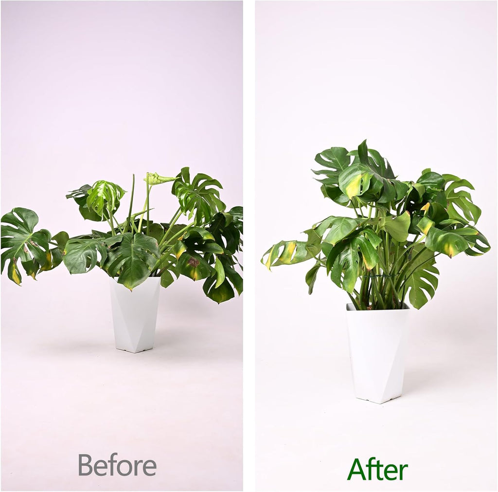Monstera Plant Stem Support - 5 Pack 6.5"x6.5" Green Metal Stem Stabilizers, Adjustable Ring Clamps for Indoor Plants, Fishbone Cactus, Turtle Shell Bamboo & Climbing Vines