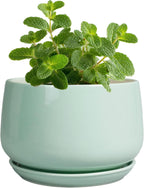 G EPGardening Ceramic Plants Pots - 4 inch Plant Pots Indoor Outdoor, Small Succulent Planter with Drainage Hole & Tray, Modern Flower Pot, Round Decorative Planters, Office Decor, Garden Gift, Green