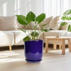 10 Inch Plant Pot - Ceramic Pot for Indoor Plants Large Planter Modern Outdoor Flower Pot with Drainage Hole and Saucer for Home Patio Decor Blue