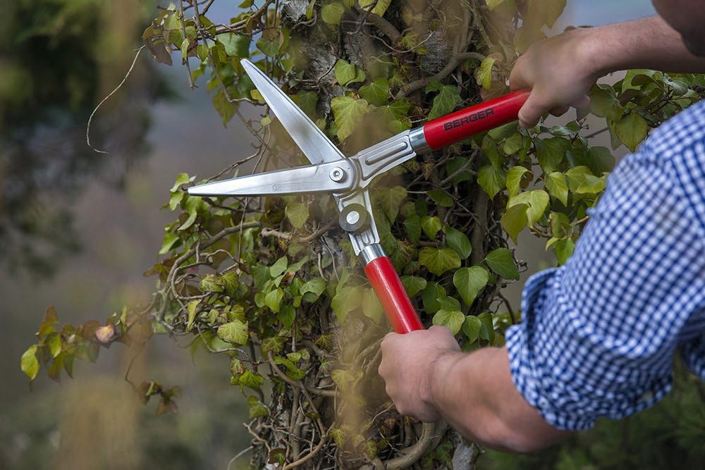 BERGER Topiary Shear 2510 with Beech Wood Handle Garden Shear with self-Sharpening Blades, Length 45 cm