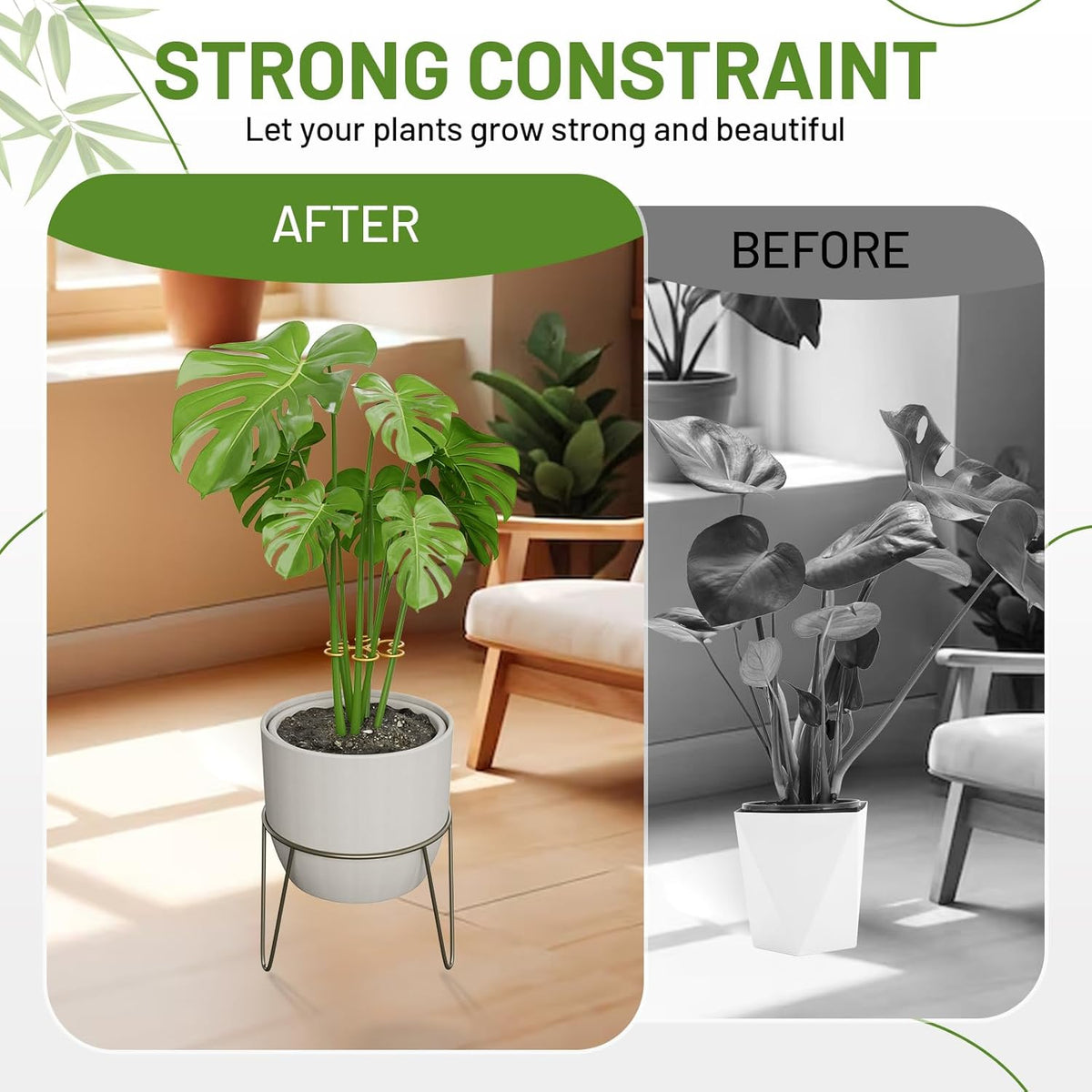 4PCS Iron Monstera Support, Uniquely Designed Plant Support Stakes for Indoor Plants, Stable Plant Stakes and Supports, Turtle Shell Bamboo Clamp Set for Thriving Growth