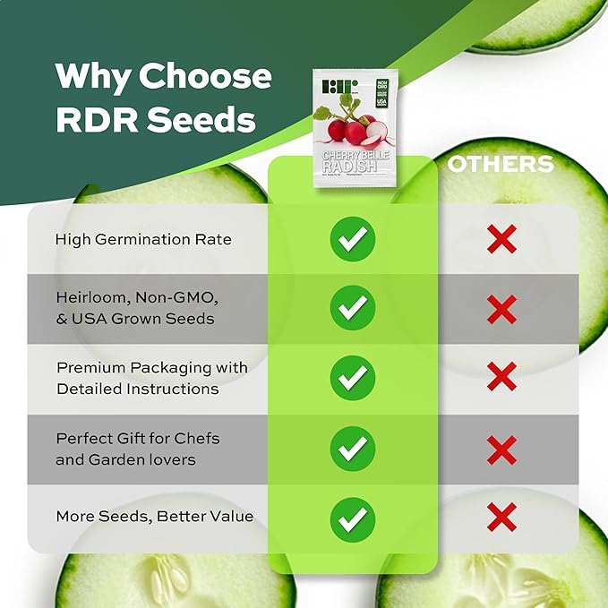 500 Cherry Belle Radish Seeds | USA Grown, Non-GMO, Heirloom | Fast-Growing, Sweet & Crisp | Harvest in 25 Days | Spring Vegetable for Gardeners of All Levels