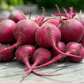 Ruby Queen Beet Seeds for Planting – Plant & Grow Heirloom Red Beets in Home Outdoor Vegetable Garden, Beta vulgaris – 5 Packets