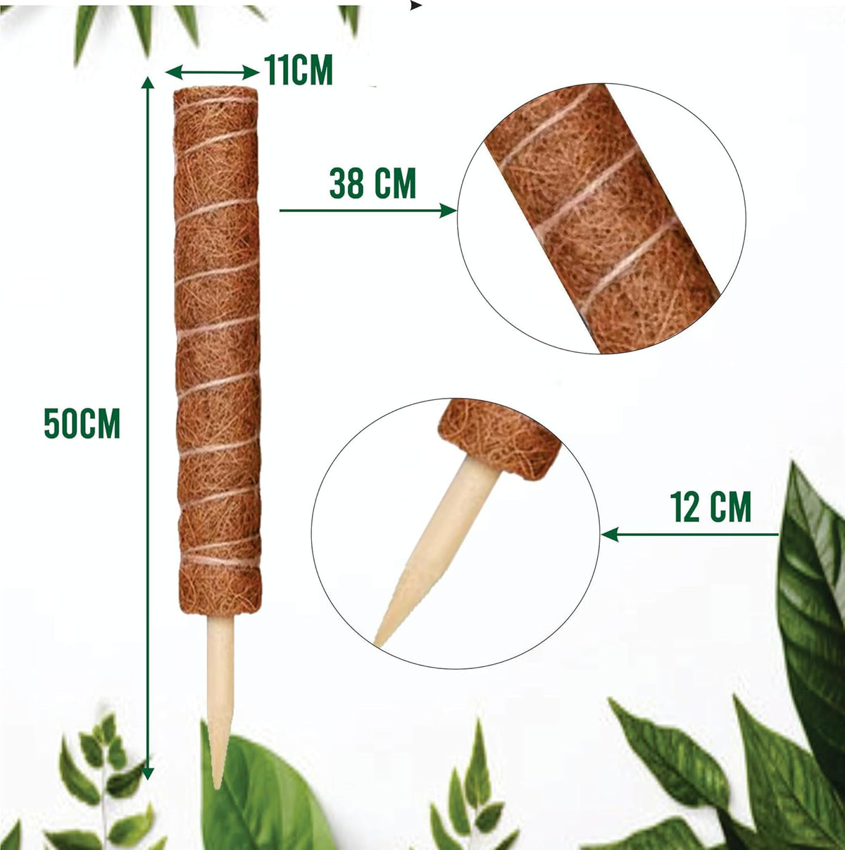 Moss Pole Pack of 2 – 50CM Monstera Plant Support | Natural Coco Coir Plant Poles for Indoor Plants | Extendable Moss Sticks for Climbing Plants, Pothos & Philodendron