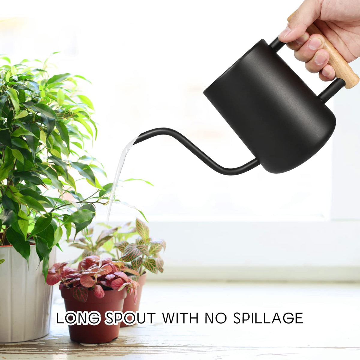 Watering Can for Indoor Plants, 35 oz/1000 ml Metal Stainless Steel Pot with Long Spout for House Plants Bonsai Outdoor Garden Flower Decorative (Black)