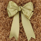Champagne Gold Solid Satin Ribbon 2 Inch 25 Yards Solid Polyester Fabric Ribbon for Gift Wrapping Wedding Christmas Baby Shower Birthday Party Decoration Handmade Immortal Flower Craft