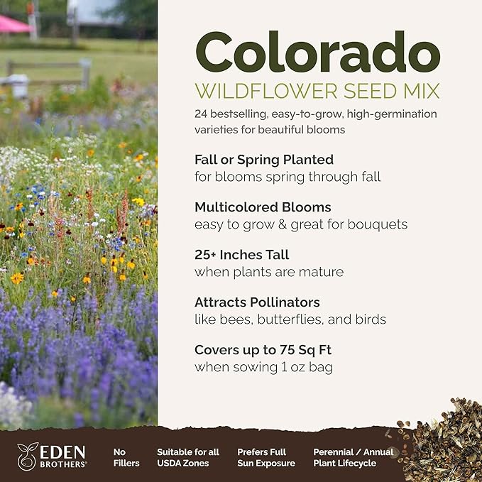 Eden Brothers Colorado Wildflower Mixed Seeds for Planting, 1 oz, 30,000+ Seeds with Cornflower, Lupine | Attracts Pollinators, Plant in Spring or Fall, Zones