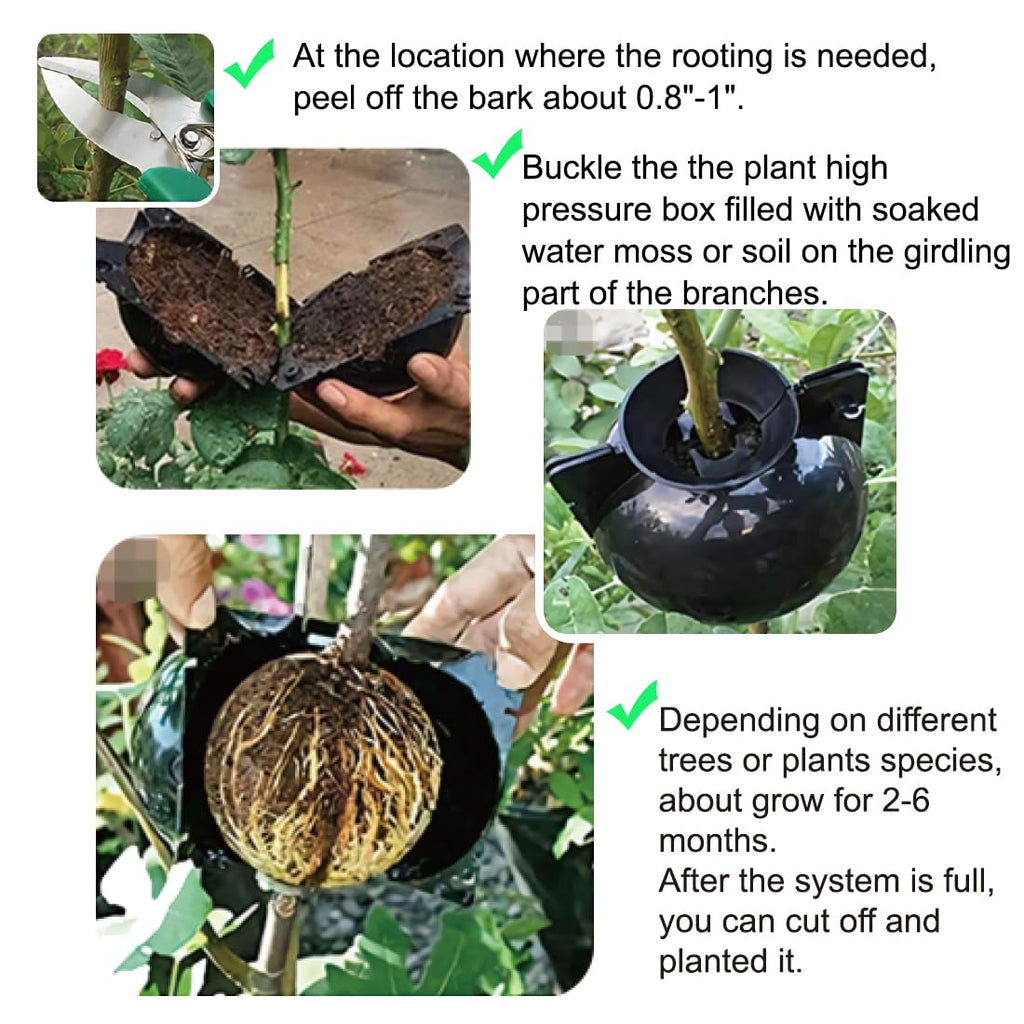 MIIIM 10 PCS Air Layering Propagation Kit with Zip Ties, Reusable Half Transparent Grafting Ball, Air Layering Pods Clear, Plant Rooting Grafting Box for Fast Propagation Plants (Medium)