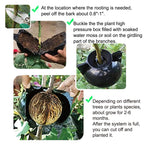 MIIIM 10 PCS Air Layering Propagation Kit with Zip Ties, Reusable Half Transparent Grafting Ball, Air Layering Pods Clear, Plant Rooting Grafting Box for Fast Propagation Plants (Medium)