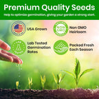 Echinacea Seeds, Purple Coneflower Seeds, Over 2300 Echinacea Seeds for Planting, Non-GMO, Open Pollinated, Heirloom Flower Seeds