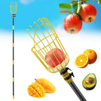 Fruit Picker Pole Tool – Ladder-Free Harvesting Aid, Safe for Elderly and Children, Durable Stainless Steel Design – Adjustable Long Pole Picker for Apples, Avocados, Oranges, Grapefruit, Plums, Pear