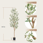 Bellacat Faux Olive Tree 6ft，Olive Trees Artificial Indoor with Natural Wood Trunk and Realistic Leaves and Fruits. 6 Feet(72in) Fake Olive Tree for Home House Office Décor.