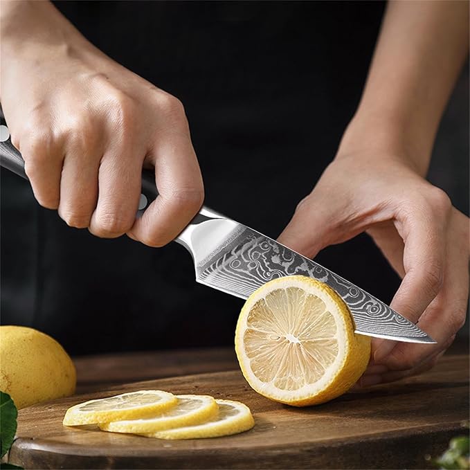 Professional Paring Knife 3.5 Inch - Classic Damascus Japanese VG-10 Steel Fruit Knife