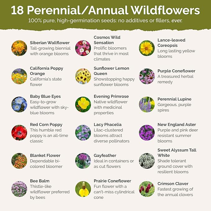 Eden Brothers Mississippi Wildflower Mixed Seeds for Planting, 1 lb, 480,000+ Seeds with Lupine, Sunflower | Attracts Pollinators, Plant in Spring or Fall, Zones