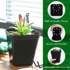 June Fox Small Seedling Pots 4 Inch, 100 Pcs Square Plant Pots Bulk, Plastic Nursery Pots with Drain Holes for Seedlings, Succulents, Cuttings (Black)