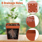 June Fox 100 Pack Red Square Nursery Pots with Drainage Holes 3.3 Inches Flexible Plastic Seedling Pots Square Pots for Plants, Succulent, Flower, with Plant Labels
