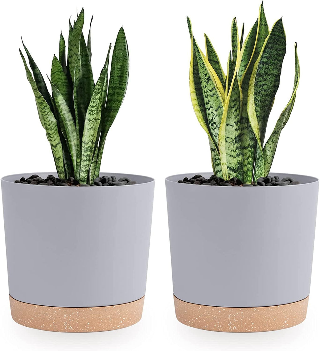 QCQHDU 8 inch Plant Pot, 2 Pack Planters for Indoor Plants with Drainage Holes & Saucer, Outdoor Flower Pots Home Garden Modern Decor